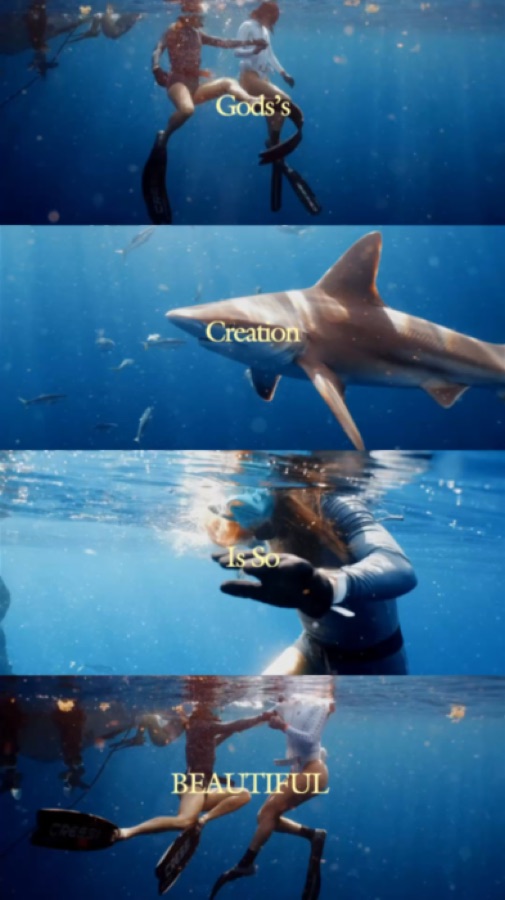Freediving with sharks in open water