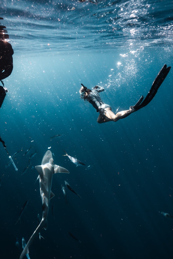 Mandi and a shark in open water