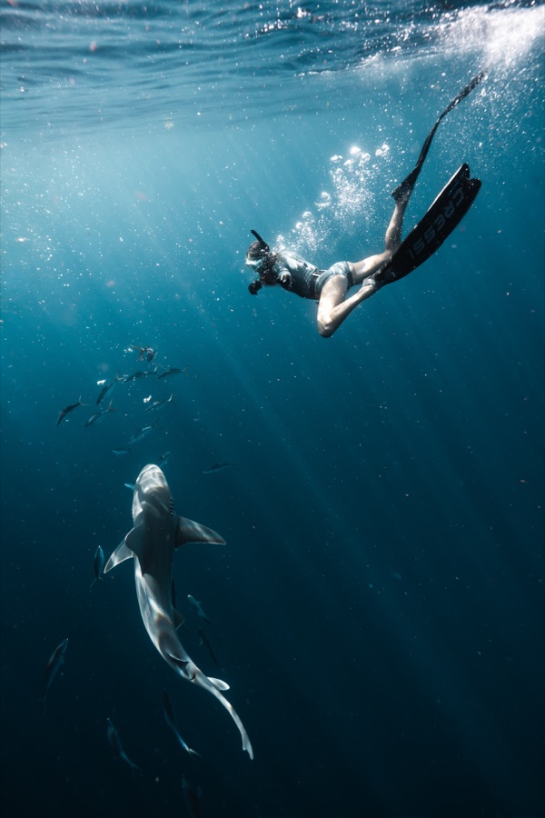 Mandi freediving alongside a shark
